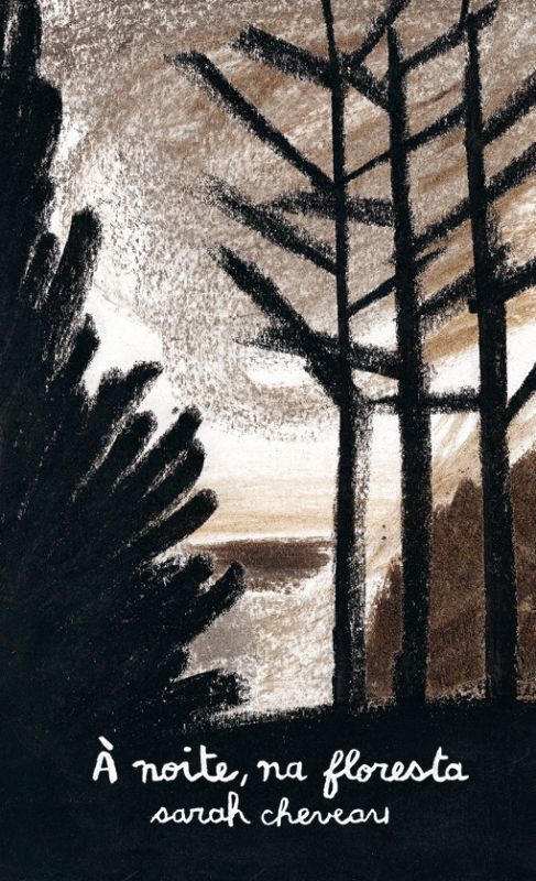 À Noite, na Floresta