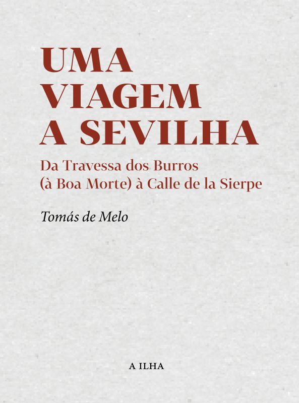 Uma Viagem a Sevilha - Da Travessa dos Burros (à Boa Morte) à Calle de la Sierpe
