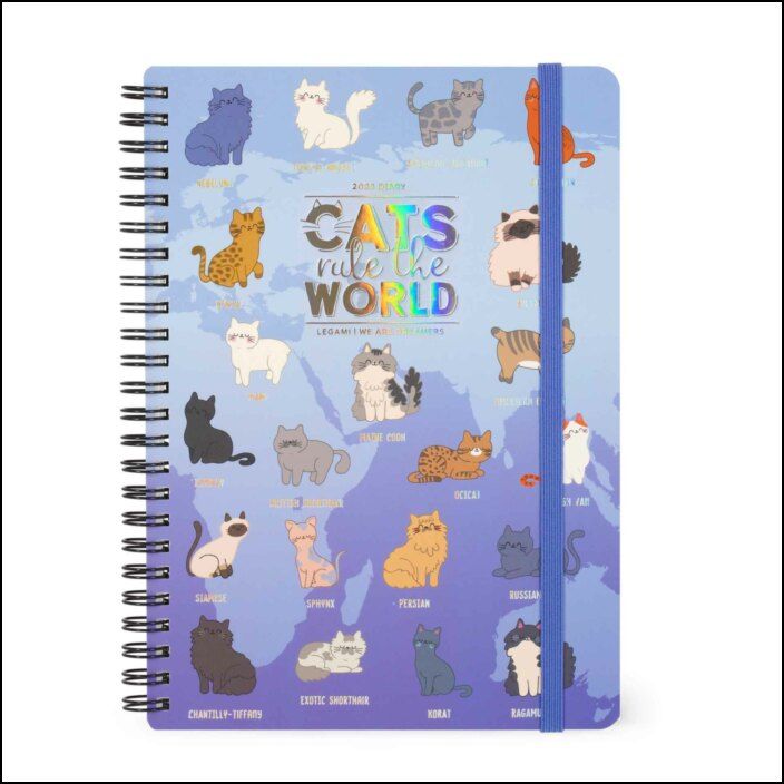 12-MONTH DIARY - 2025 - LARGE WEEKLY SPIRAL BOUND DIARY - KITTY