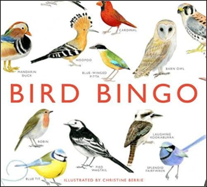 Bird Bingo