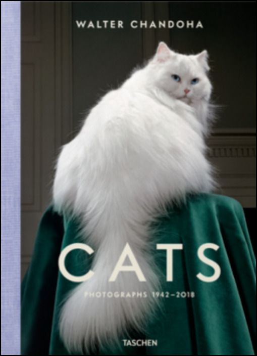 Cats. Photographs 1942–2018
