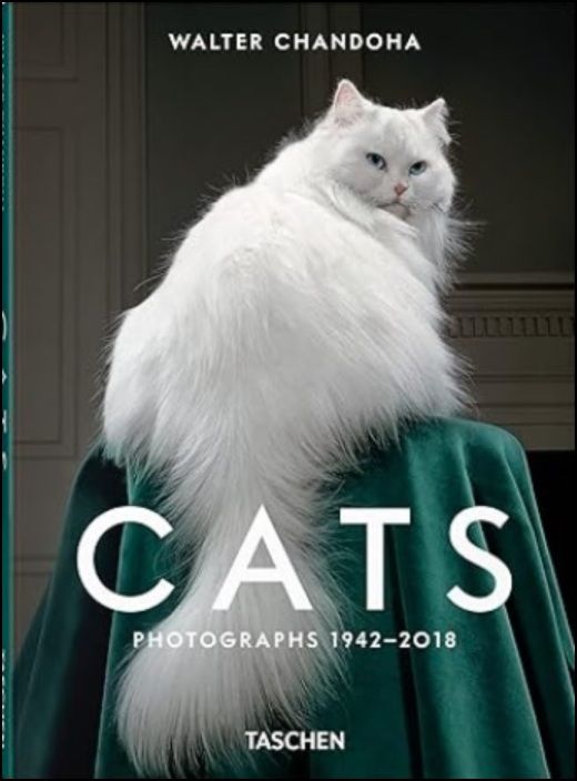 Cats - Photographs (1942-2018)