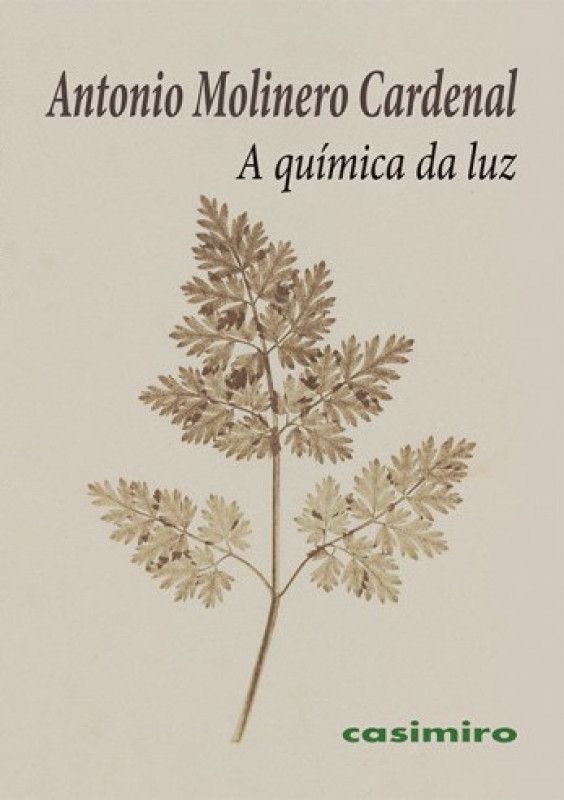 A Química da Luz