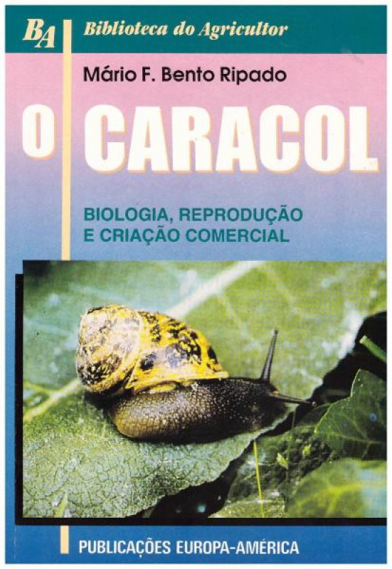 O Caracol