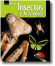 Insectos e Aracnídeos