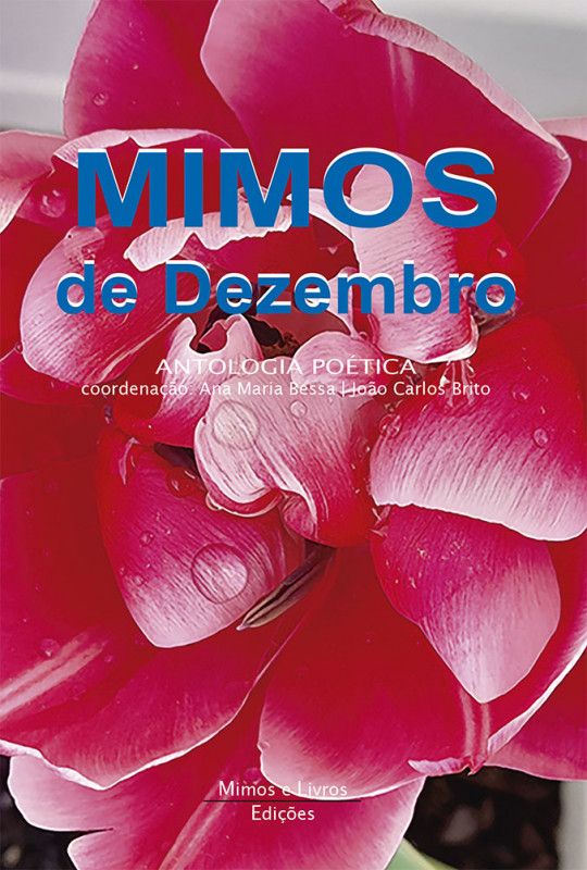 Mimos de Dezembro