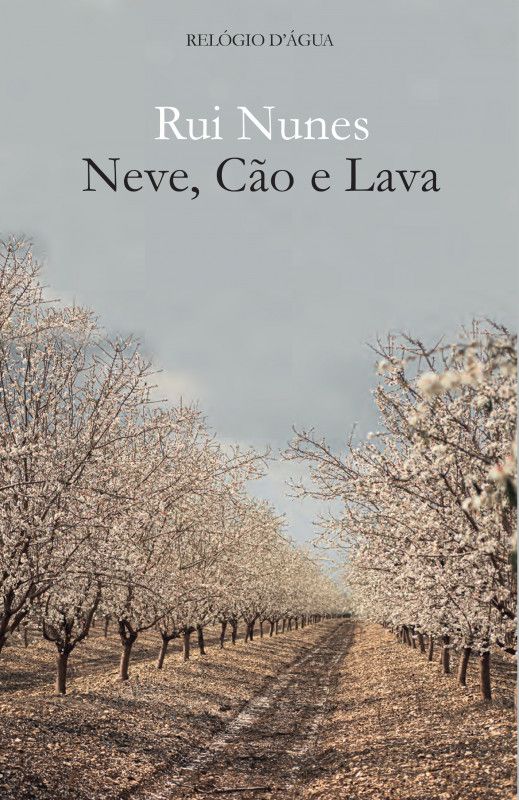 Neve, Cão e Lava