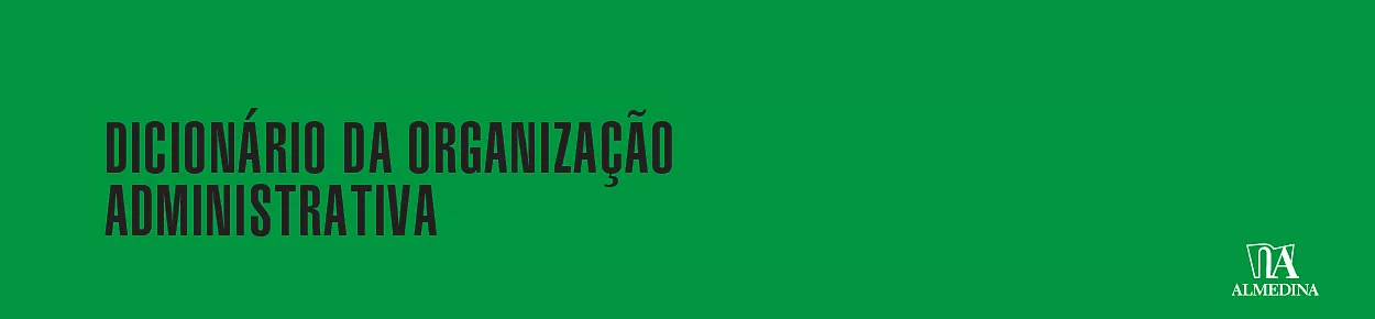 Livro - Dicionário da Organização Administrativa