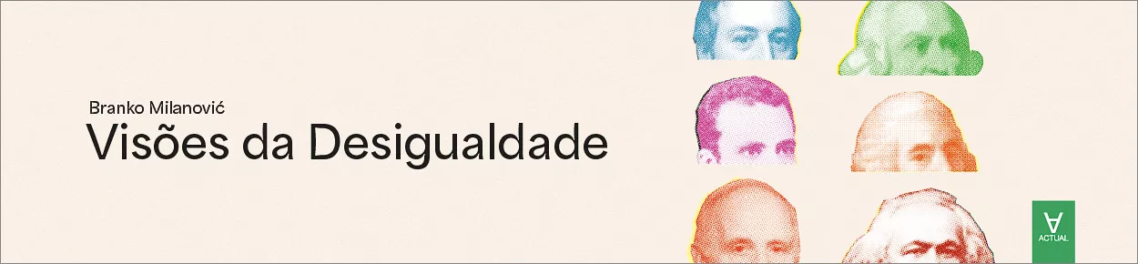 Livro - Visões da Desigualdade